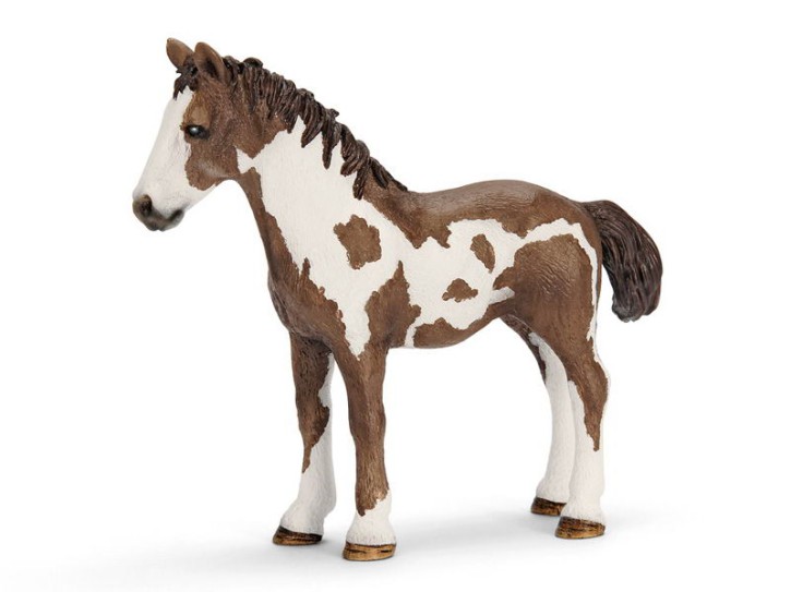 Schleich 13695 Pinto Jährling