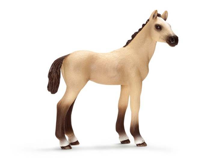 Schleich 13702 Achal Tekkiner Fohlen