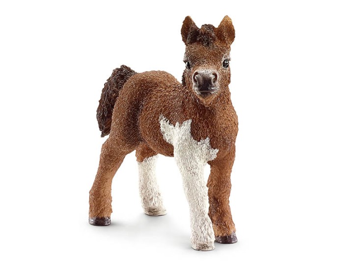 Schleich 13752 Shetland Fohlen