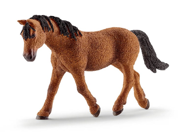 Schleich 13780 Bashkir Curly Stute