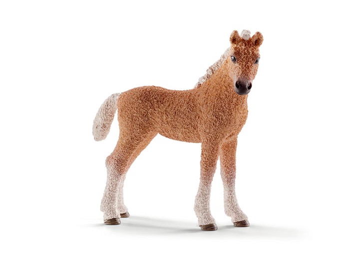 Schleich 13781 Bashkir Curly Fohlen