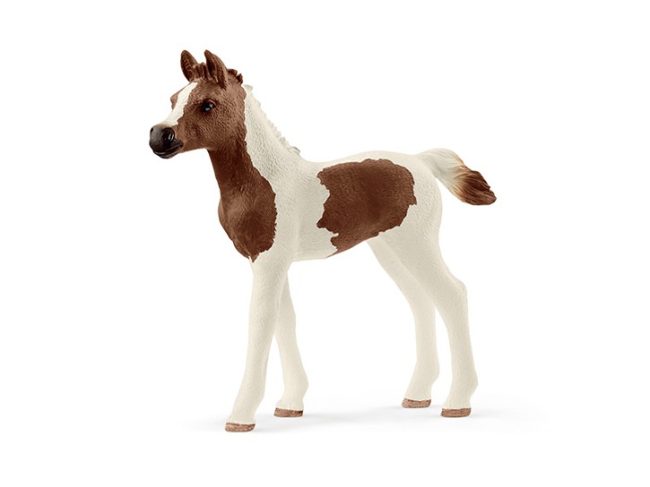 Schleich 13839 Araberpinto Fohlen