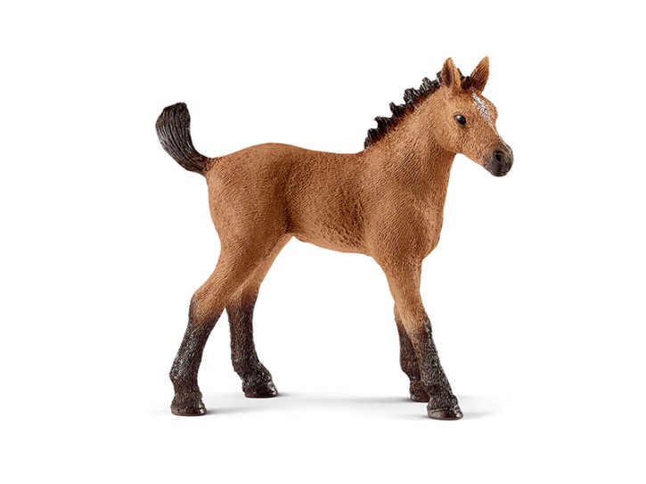 Schleich 13854 Quarter Horse Fohlen