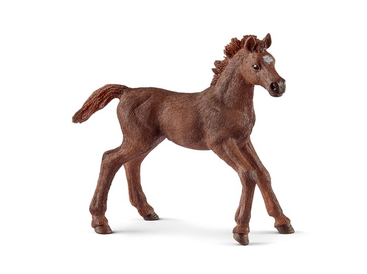 Schleich 13857 Englisch Vollblut Fohlen