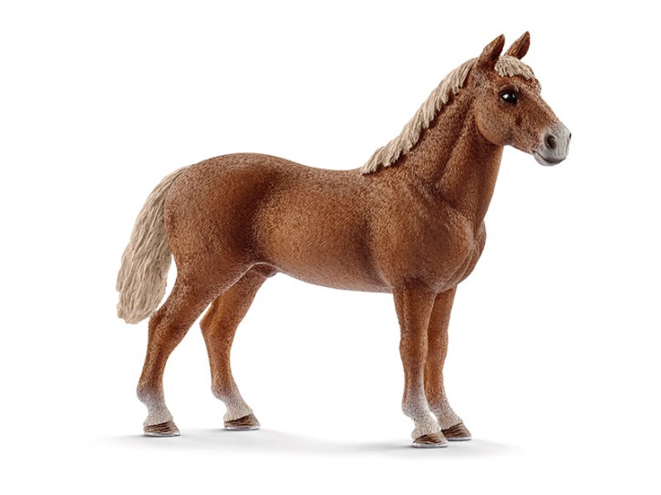 Schleich 13869 Morgan Horse Hengst