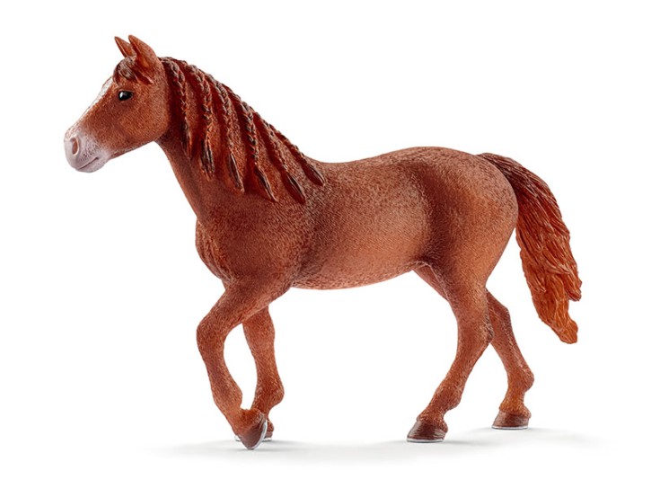 Schleich 13870 Morgan Horse Stute