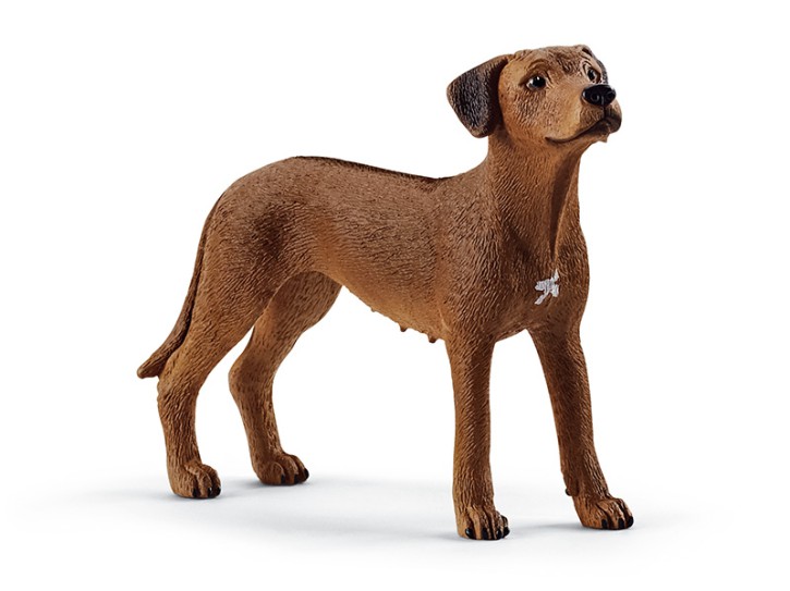 Schleich 13895 Rhodesian Ridgeback