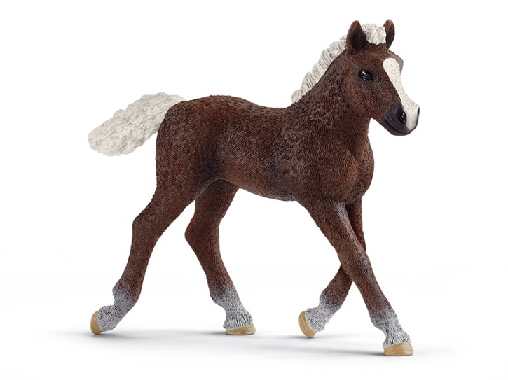 Schleich 13899 Schwarzwälder Fohlen