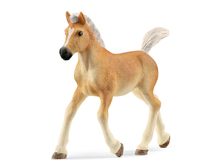 Schleich 13951 Haflinger Fohlen