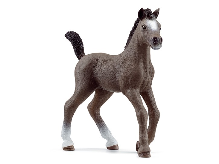 Schleich 13957 Cheval de Selle Francais Fohlen