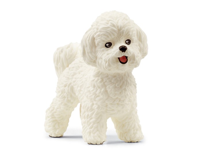 Schleich 13963 Bichon Frisé