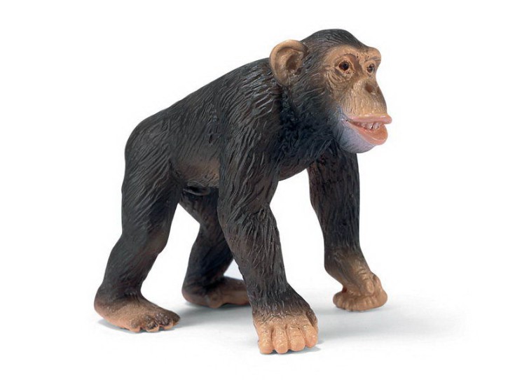 Schleich 14189 Schimpansen-Männchen