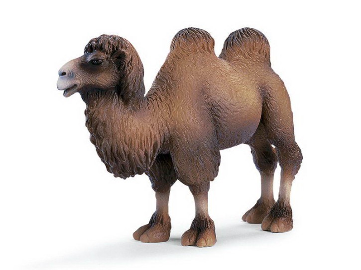 Schleich 14348 Trampeltier