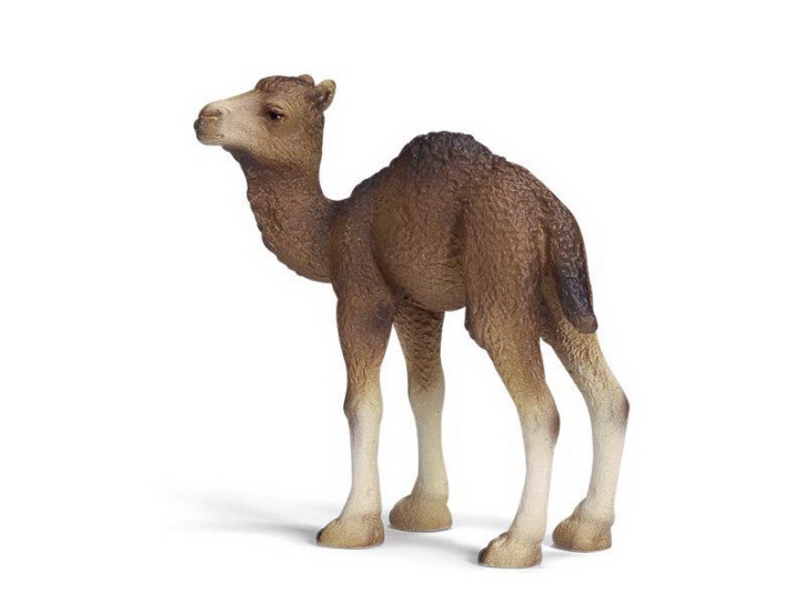 Schleich 14356 Dromedar Fohlen