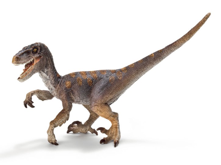 Schleich 14524 Velociraptor