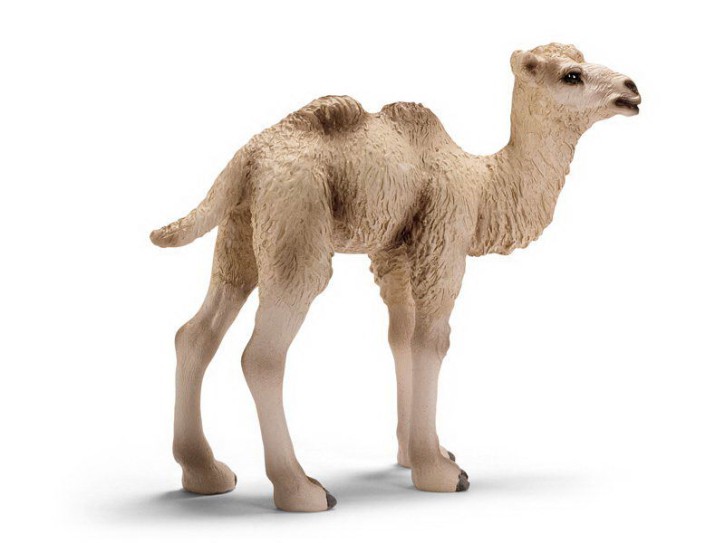 Schleich 14602 Trampeltier Fohlen