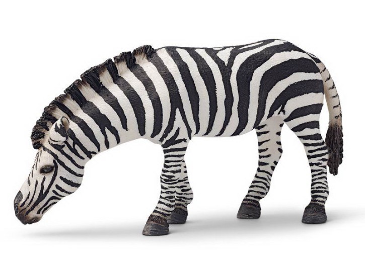 Schleich 14609 Zebra, grasend