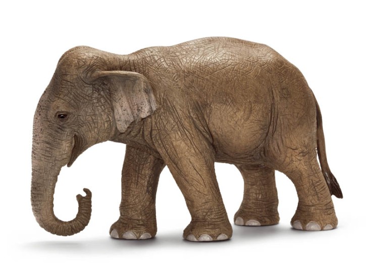 Schleich 14654 Asiatische Elefantenkuh