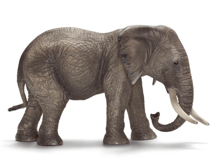 Schleich 14657 Afrikanische Elefantenkuh