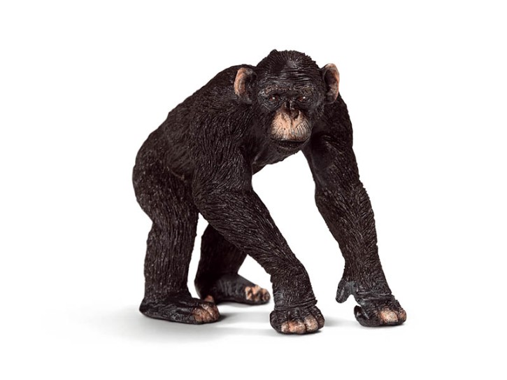Schleich 14678 Schimpansen-Männchen