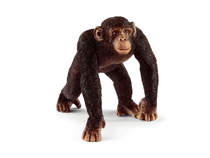 Schleich 14817 Schimpansen Männchen