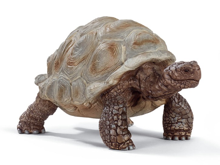 Schleich 14824 Riesenschildkröte