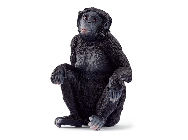 Schleich 14875 Bonobo Weibchen