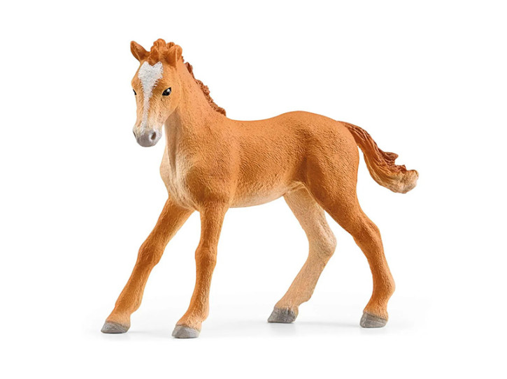 Schleich Tennessee Walker Fohlen