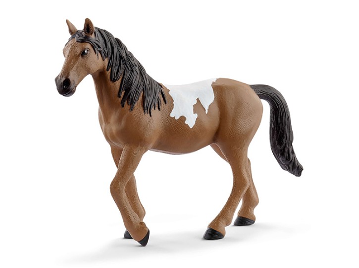 Schleich 72138 Pinto Stute Sonderedition